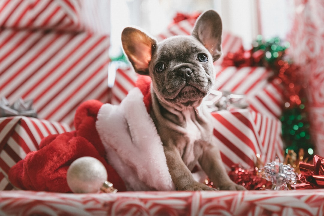 15 idées cadeaux d’anniversaire parfaites pour un garçon de 8 ans en 2025